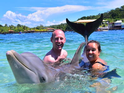Dolphin with tourists.