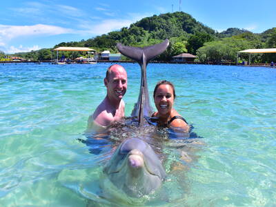 Dolphin with tourists.