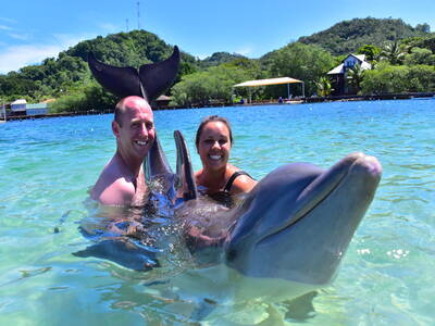Dolphin with tourists.