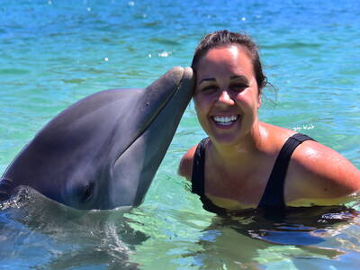 Dolphin with tourists.