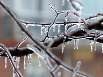 Freezing Rain